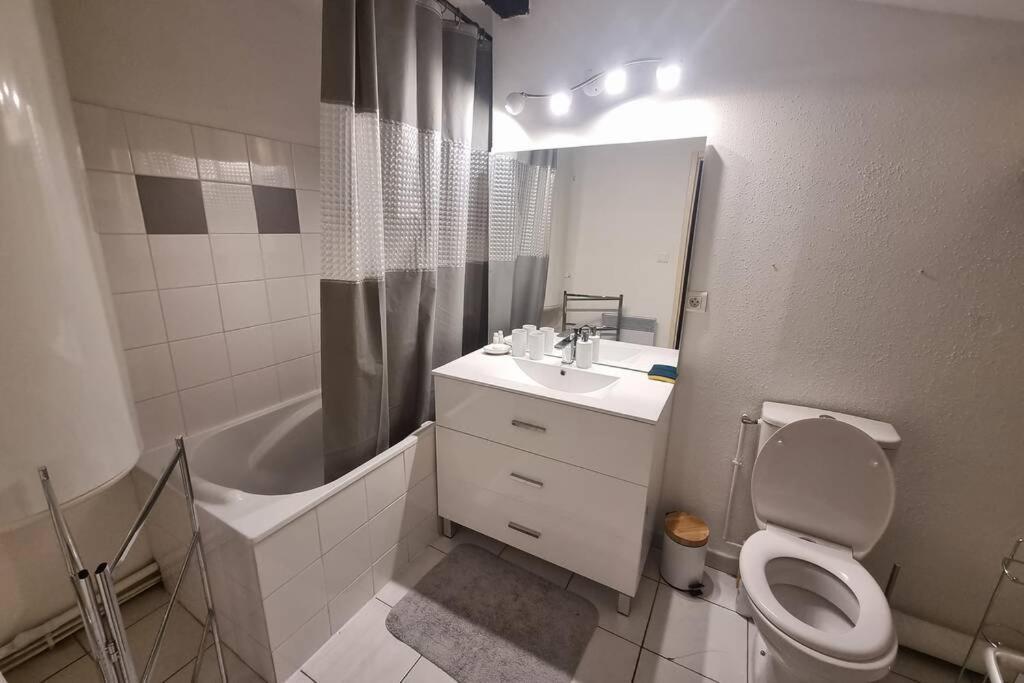 Appartement Exceptionnel 4 Etoiles Hyper Centre Albi 65 M2 Au 4Eme Etage Sans Ascenseur Avec Une Tour Du 12Eme Siecle Ngoại thất bức ảnh